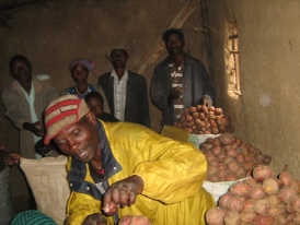 Farmer in crops market after loan