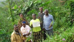Planting elephant grass for land conservation